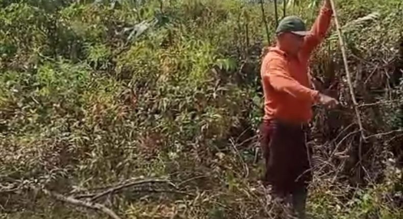 foto slider headline